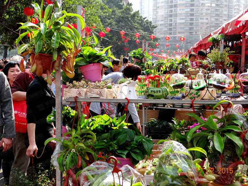 廣州荔灣迎春花市裝飾